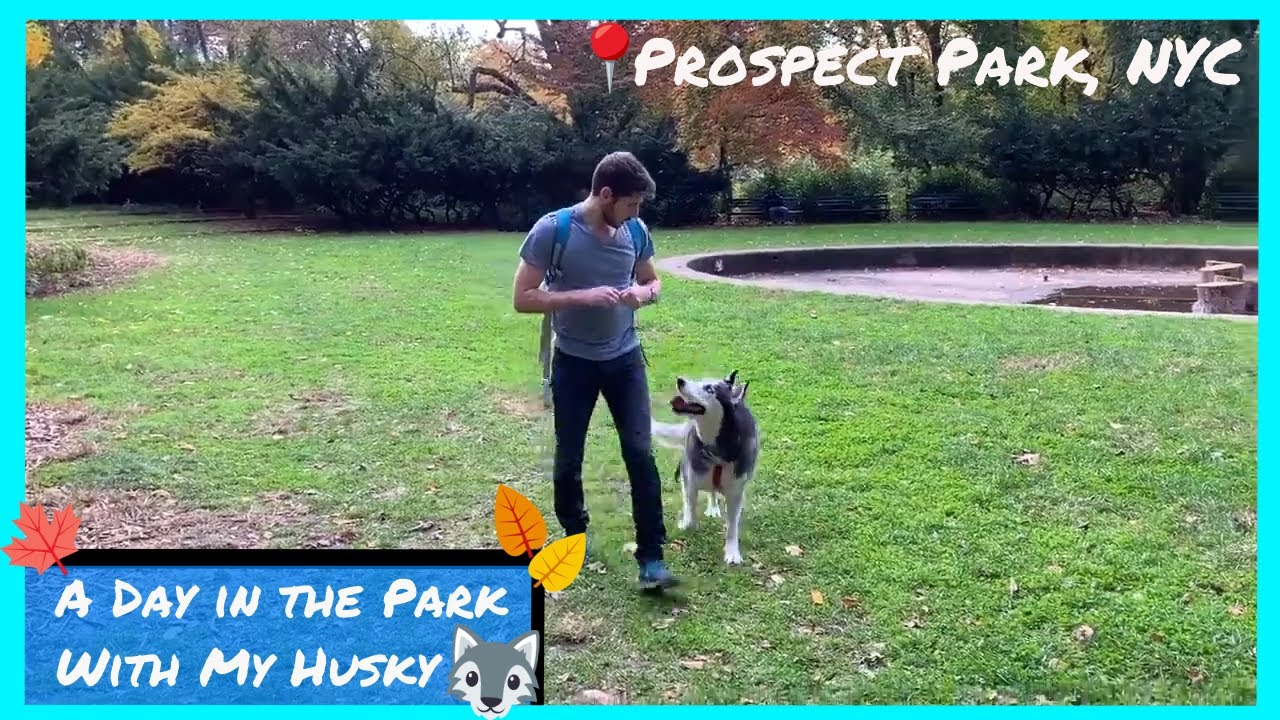 a day in the park.jpg