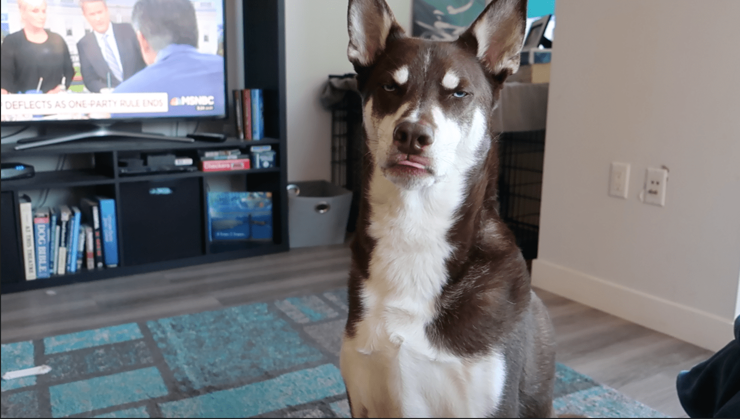 Screen Shot 2018-11-19 at 5.30.39 PM